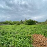 Islaz, Branesti, Pantelimon, Ilfov